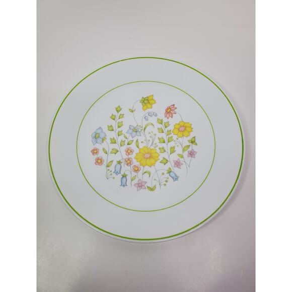 Vintage Corning Corelle 1977 Meadow one 10 1/4 in Dinner Plage - Picture 3 of 5
